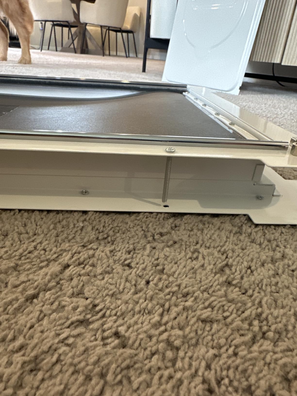 3-Flap Never Rust Extra Large Dog Door for Wall with Sliding Lock Panel customer photo 2