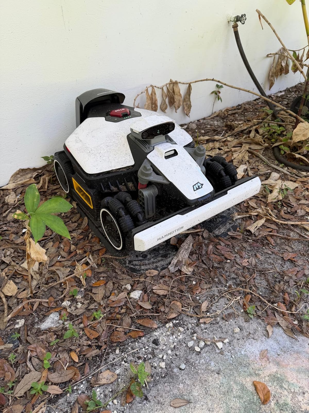 (2026 Upgrade) Mammotion LUBA mini 2 AWD 1500H Robot Lawn Mower, for 0.37 Acres, 360° LiDAR+Dual-Camera AI Vision, 80% Slope, DropMow, 20 Multi-Zone Management customer photo 2