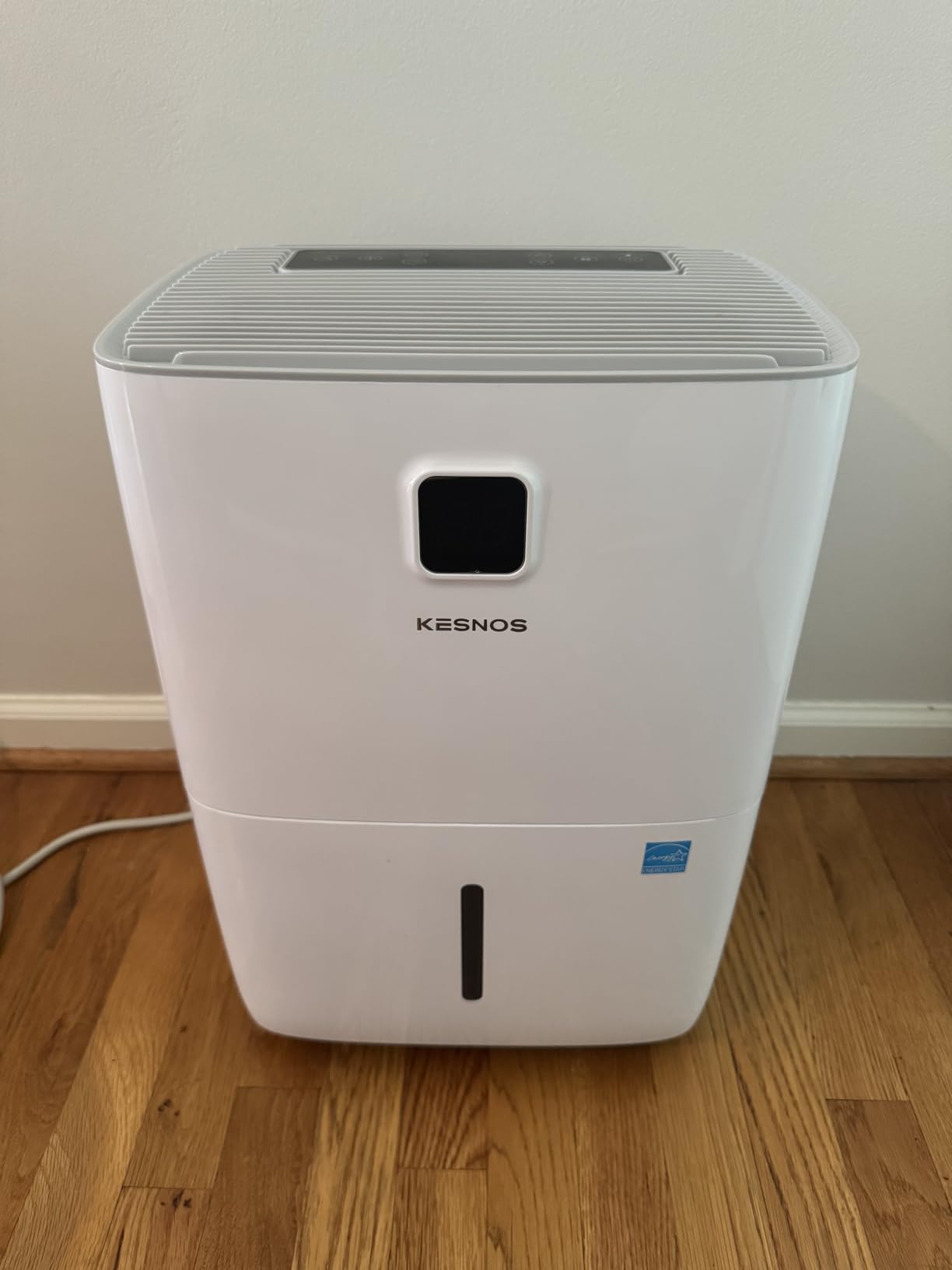 Kesnos 2,500 Sq. Ft. Energy Star Dehumidifier for Basement with Drain Hose customer photo 1