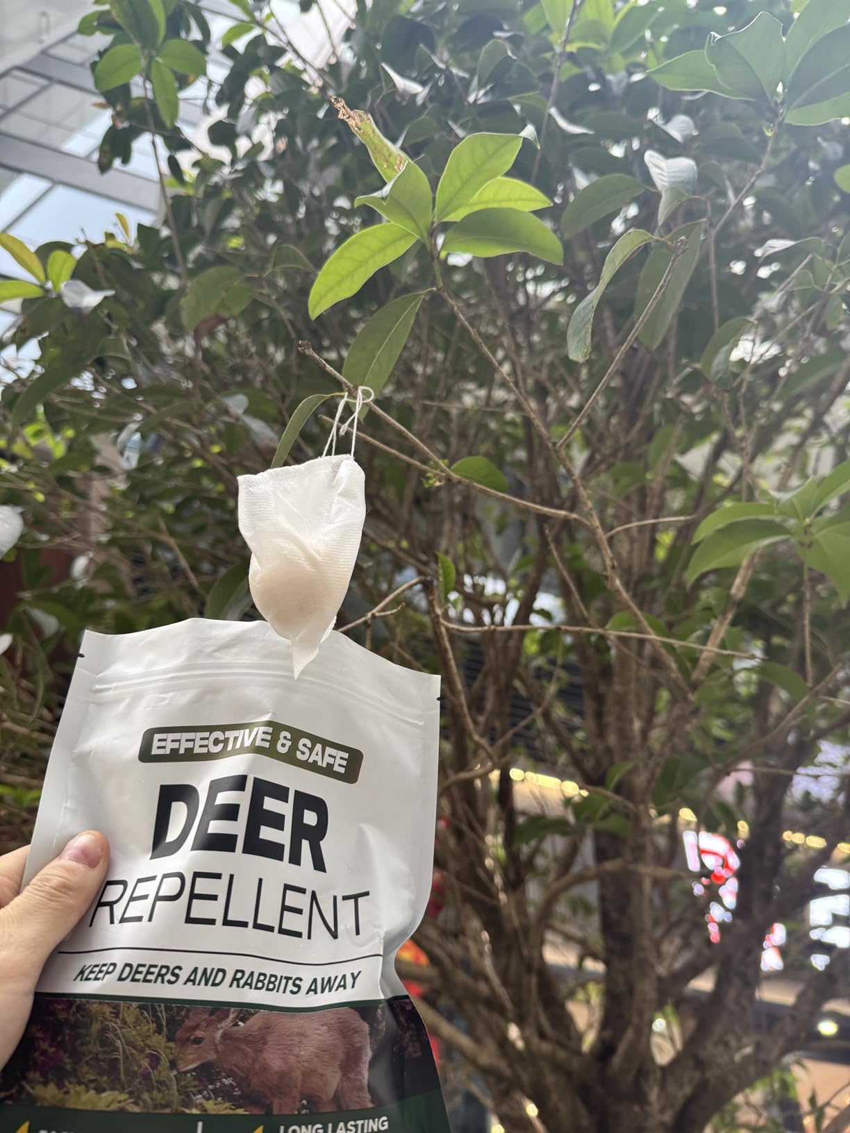 LAQDECDV Deer Repellent, Rabbit Repellent Outdoor, Deer Deterren for Yard & Garden, Bunny Repellent Balls, Keep Deer, Elk, Moose Away from Plant/Tree, Deer & Rabbit Repellant, 90 Days Protection-8P customer photo 1