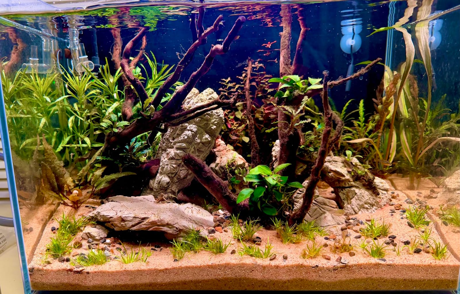 FZONE Solo Series Nano Aquarium Light for Saltwater and Reef Coral Tanks customer photo 2