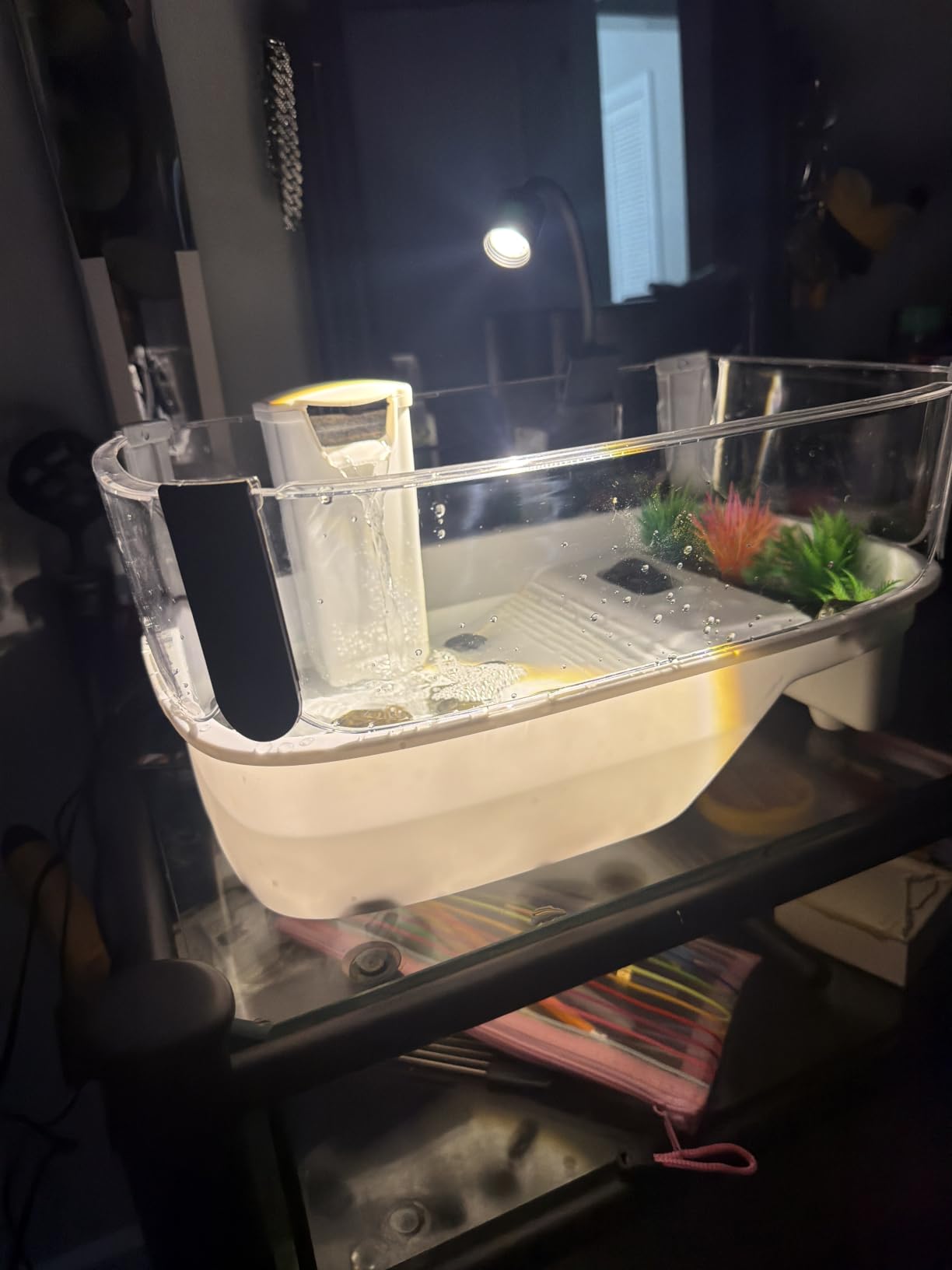 22.8 inch Large Size Turtle Tank Habitat Kit with Basking Platform, for Turtles, Crayfish, Crab, Aquatic Tortoise Enclosure Starter Aquarium, Pet Turtle Reptile Habitat customer photo 1