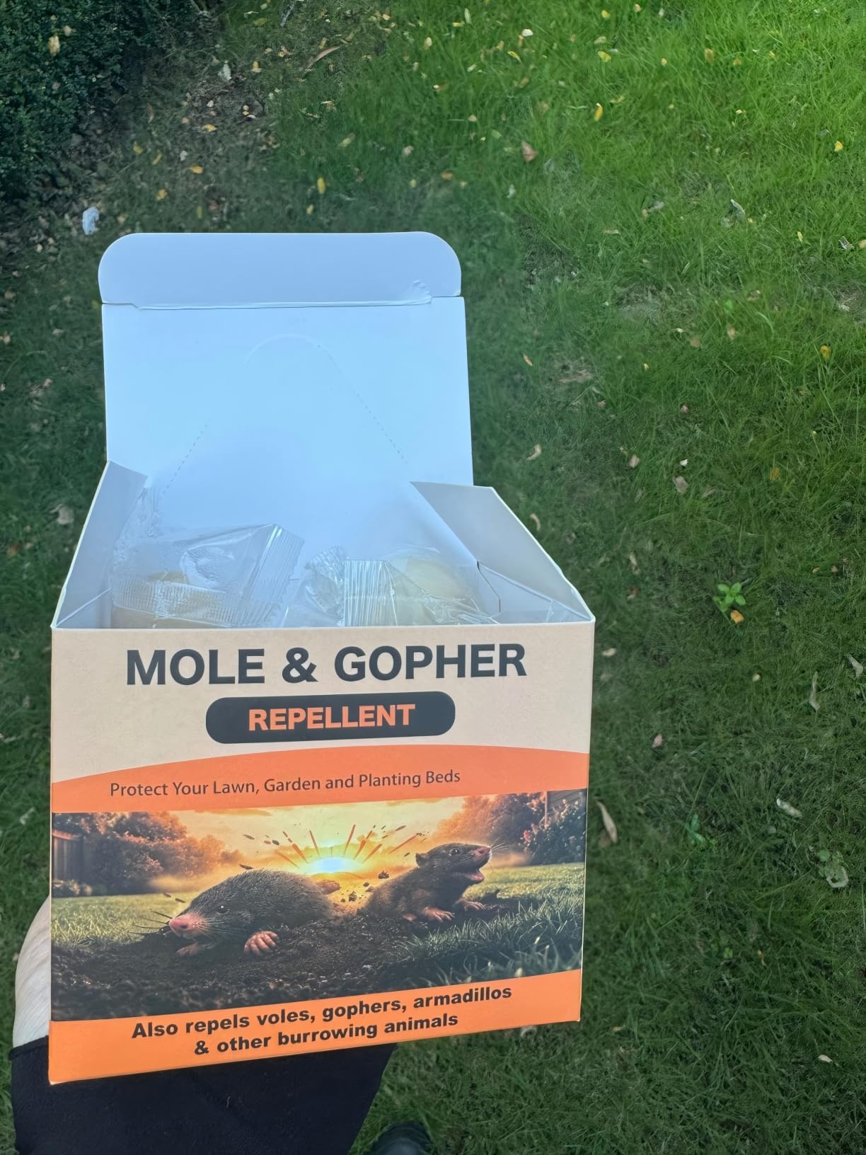 Mole Repellent, Gopher Repellent for Lawn, Groundhog Deterrent-12P customer photo 2