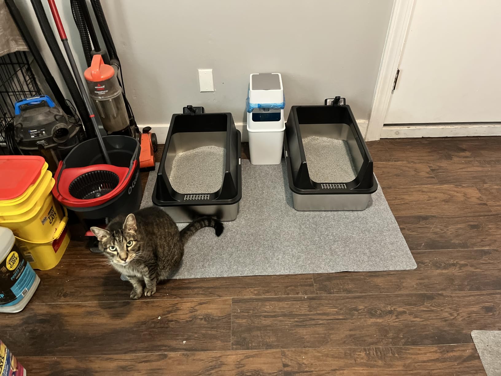 Stainless Steel Cat Litter Box for Kitten, Kitty & Senior Cats Pan customer photo 1