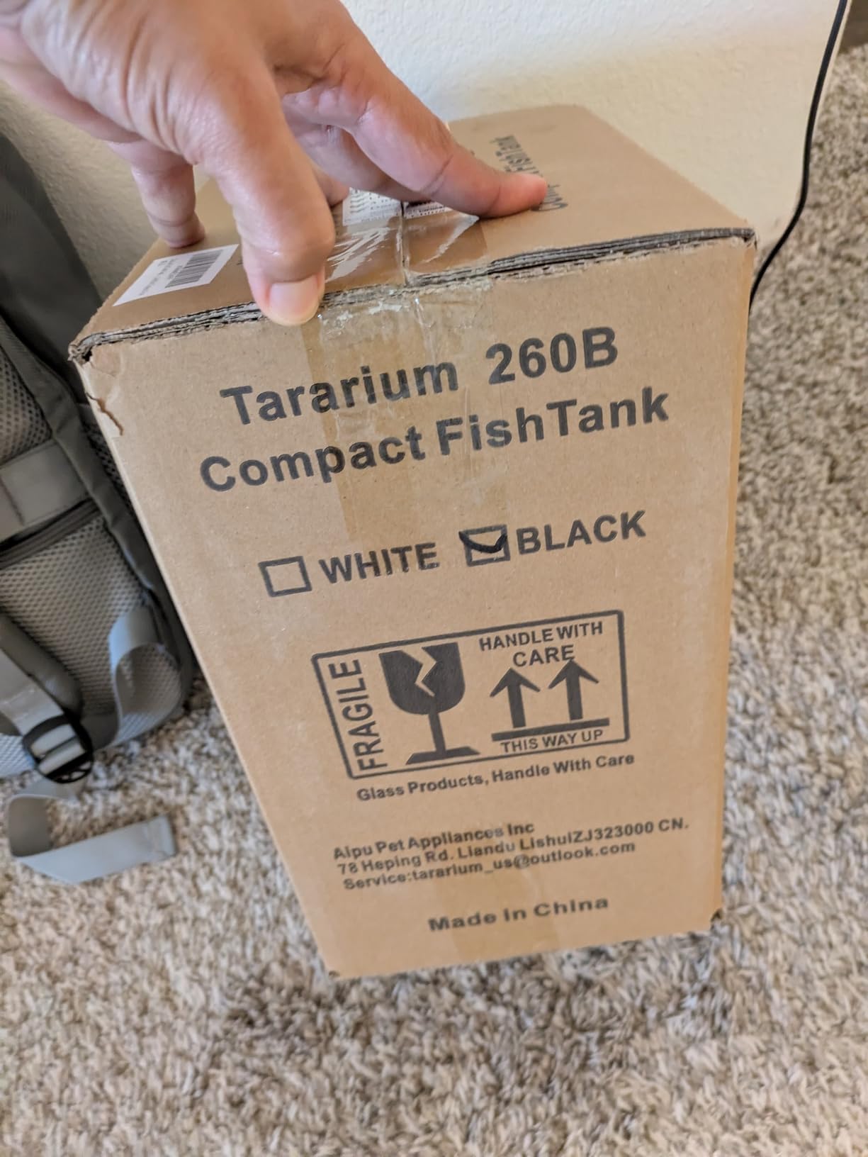 Coospider 20 Gallon Glass Fish Tank, Aquarium Starter Kit, Kids Gift Ideas customer photo 2