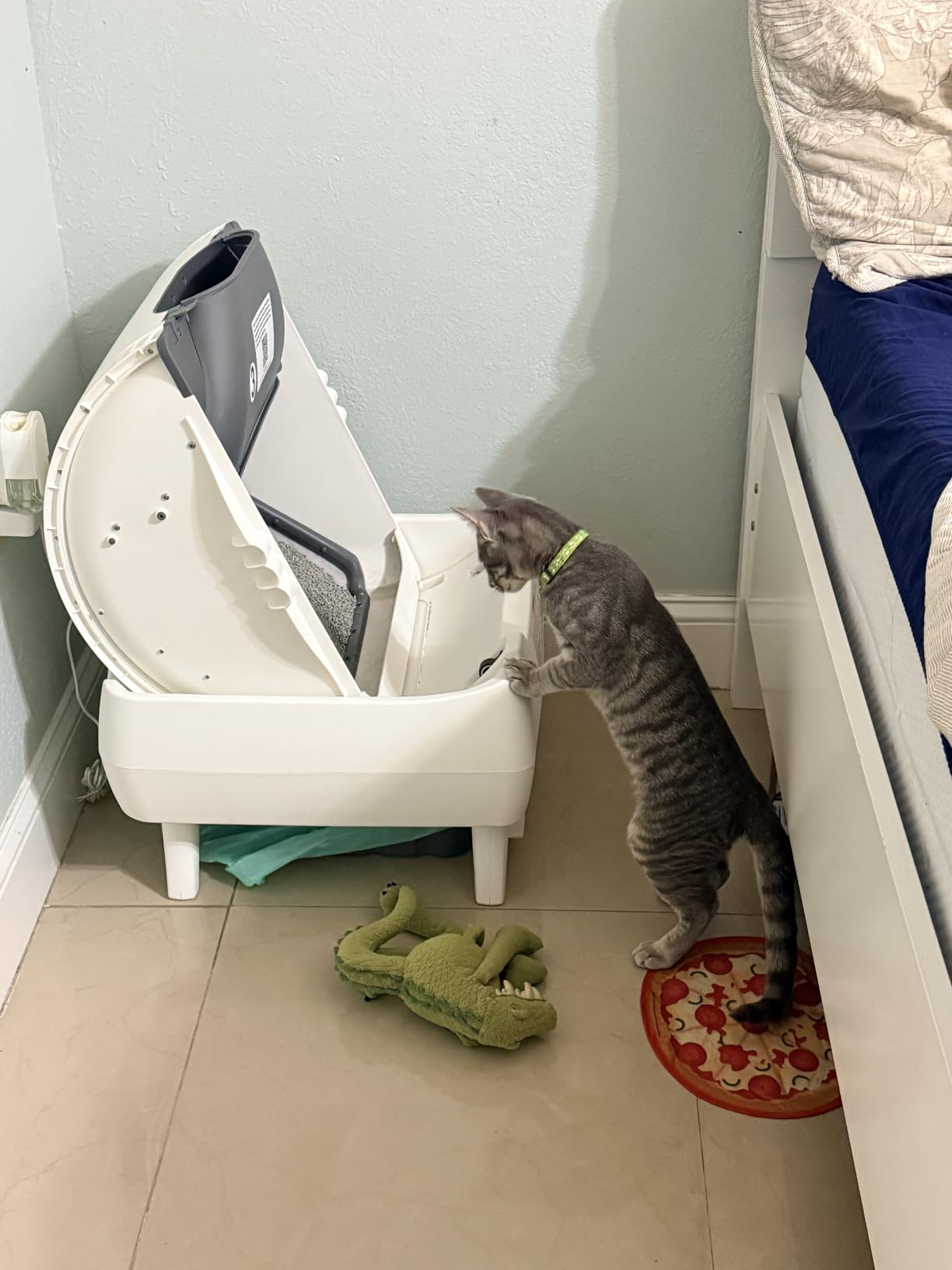 Automatic Cat Litter Box Self Cleaning - App Control, Open-Design, Smart Health Monitor, Suitable for Medium Cats and Kittens, Anti-Pinch Safety, Quiet Operation - White customer photo 2