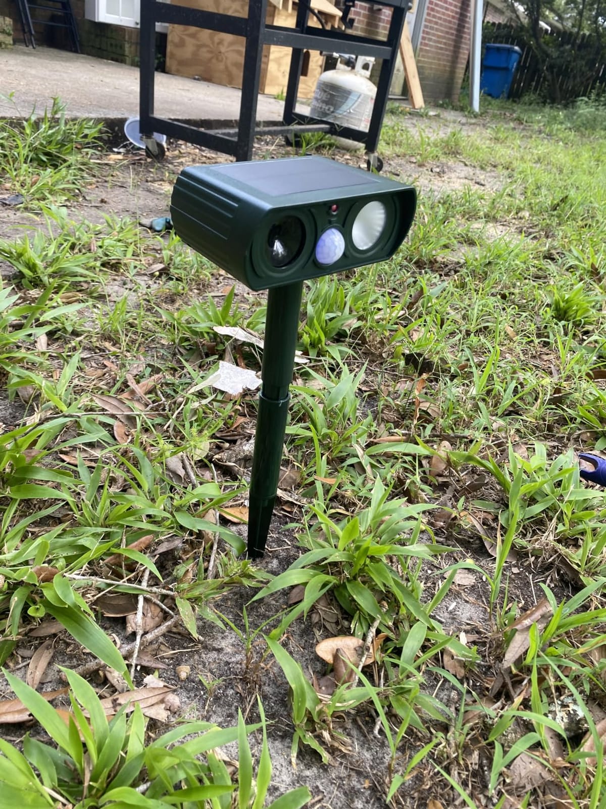 Solar Ultrasonic Animal Repellent Outdoor, Deer Repellent Devices Waterproof, Cat Squirrel Rabbit Dog Raccoon Deterrent Animal Repeller with Motion Detection, Keep Skunk Away for Yard, Green, 2 Pack customer photo 1