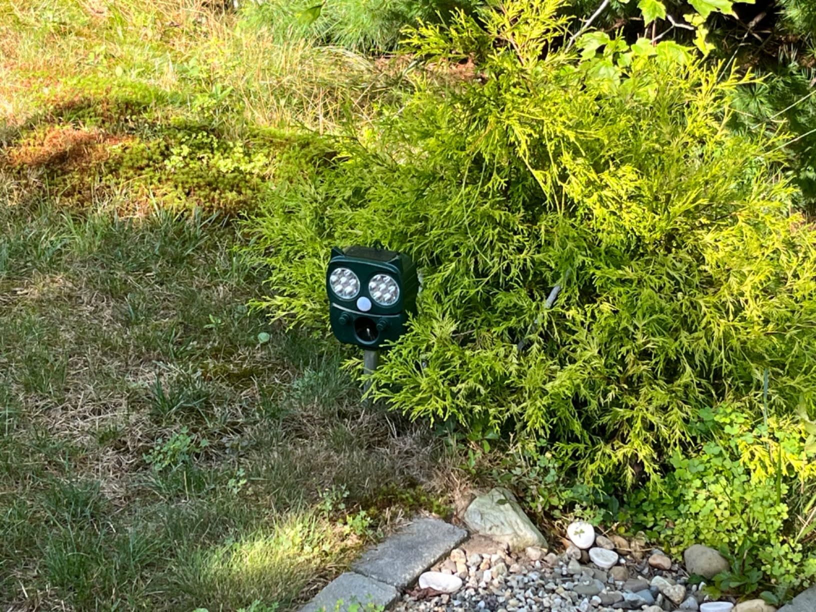 Solar Animal Repeller, Ultrasonic Repellent, Motion Detection, LED Flashing Light, Dog, Cat Repellent, Squirrel, Raccoon, Skunk, Rabbit, Rodent, Fox, Deer, etc. customer photo 1