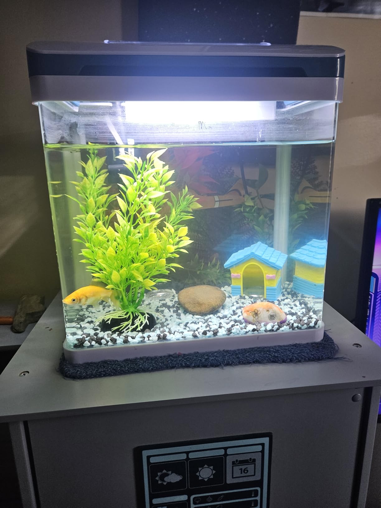 Fish Tank, Betta Fish Tank Small Aquarium Starter Kits Self Cleaning with 3 Types of LED Lights and Filter Water Pump, Ultra Quiet Decoration Kids (Black, 20 Gallon Fish Tank) customer photo 1