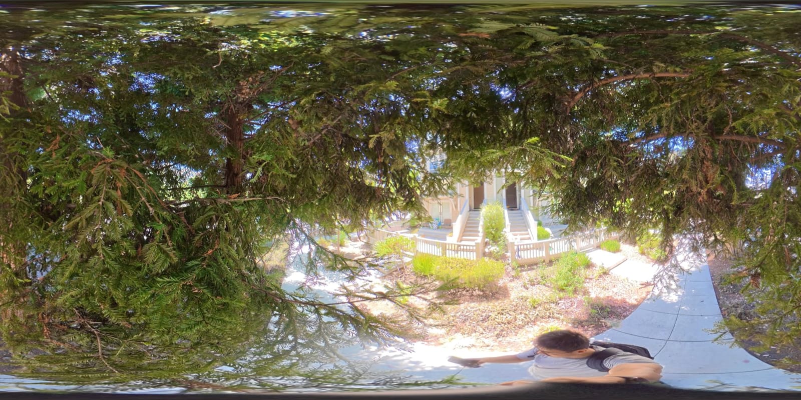 Xtra 360 Camera, 8K Panoramic Video, 1-Inch Sensor Equivalent, 100MP High Resolution customer photo 2