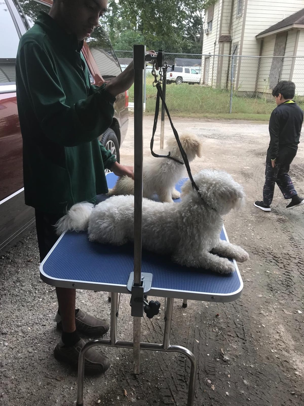 Bonnlo Pet Grooming Table, 36