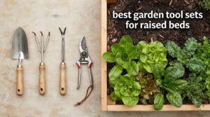 best garden tool sets for raised beds