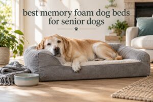 best memory foam dog beds for senior dogs