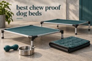 best chew proof dog beds