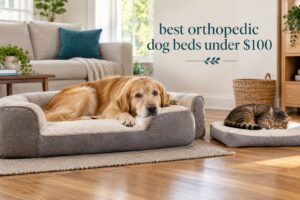 best orthopedic dog beds under $100