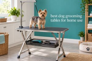 best dog grooming tables for home use