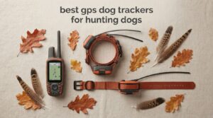 best gps dog trackers for hunting dogs