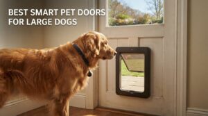 best smart pet doors for large dogs