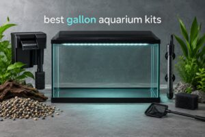 best 20 gallon aquarium kits